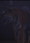 Charmed-Online-dot-net_5x05WitchesInTights0228.jpg