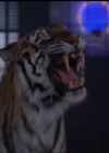 Charmed-Online-dot-net_5x05WitchesInTights0237.jpg
