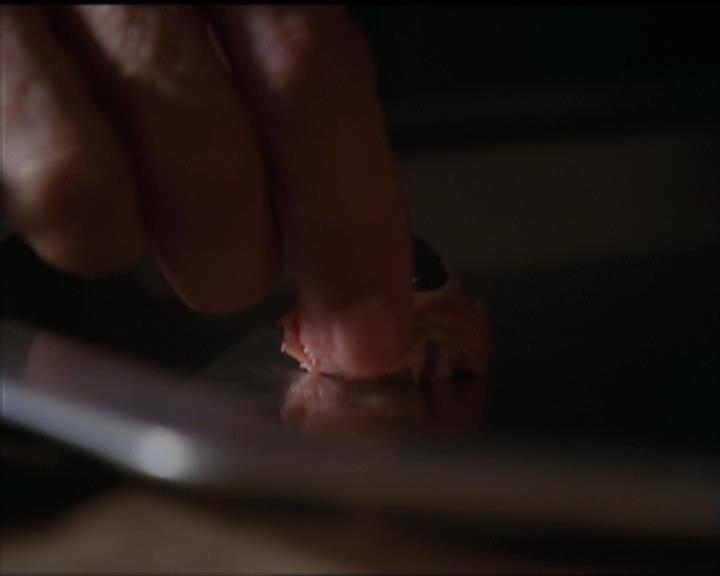 Charmed-Online-dot-net_5x06TheEyesHaveIt0513.jpg