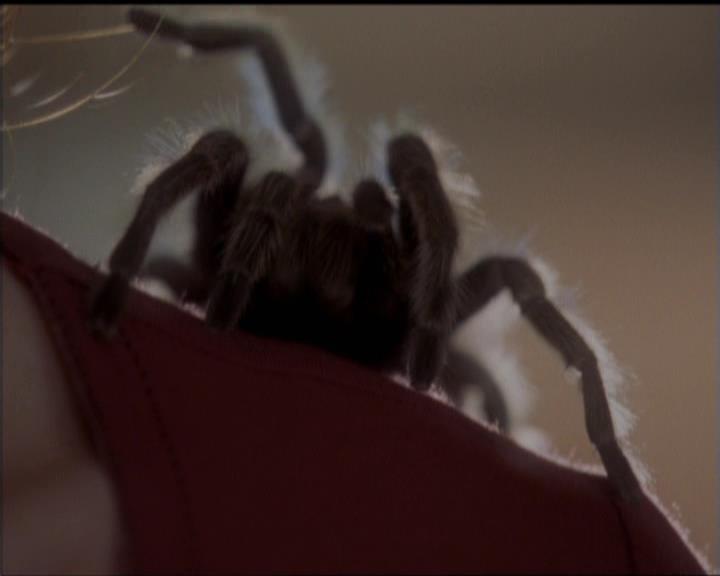 Charmed-Online-dot-net_5x07SympathyForTheDemon1609.jpg