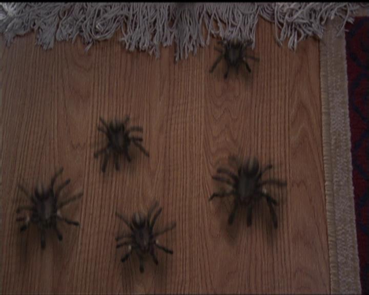 Charmed-Online-dot-net_5x07SympathyForTheDemon1614.jpg