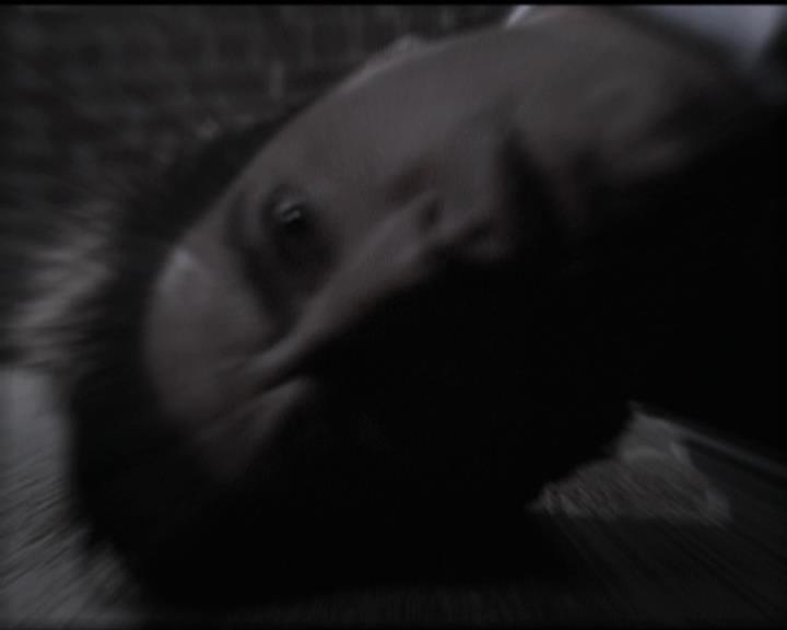 Charmed-Online-dot-net_5x08AWitchInTime1098.jpg