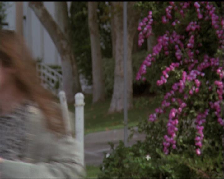 Charmed-Online-dot-net_5x08AWitchInTime2222.jpg