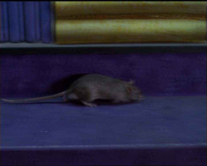 Charmed-Online-dot-511TheImportanceOfBeingPhoebe0531.jpg