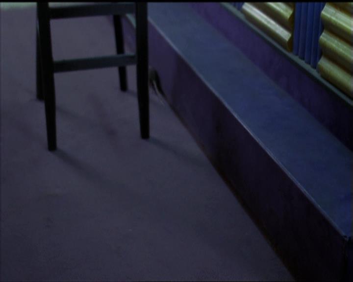 Charmed-Online-dot-511TheImportanceOfBeingPhoebe0566.jpg