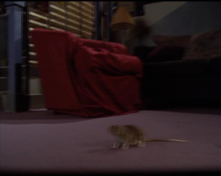 Charmed-Online-dot-511TheImportanceOfBeingPhoebe0612.jpg Charmed-Online-dot-511TheImportanceOfBeingPhoebe0612.jpg