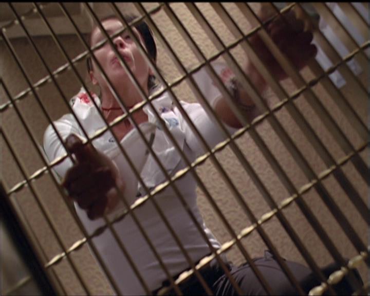 Charmed-Online-dot-511TheImportanceOfBeingPhoebe1528.jpg