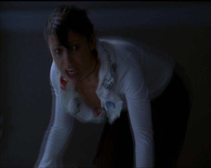 Charmed-Online-dot-511TheImportanceOfBeingPhoebe2046.jpg