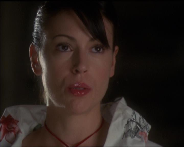 Charmed-Online-dot-511TheImportanceOfBeingPhoebe2410.jpg