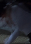 Charmed-Online-dot-511TheImportanceOfBeingPhoebe2067.jpg