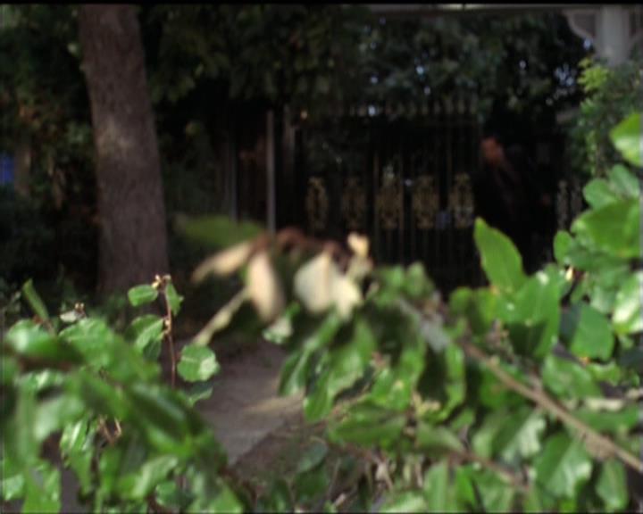 Charmed-Online-dot-512CentennialCharmed1521.jpg