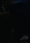 Charmed-Online-dot-514SandFransiscoDreamin0570.jpg
