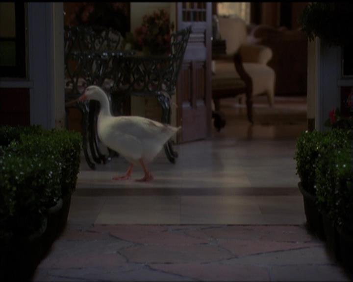 Charmed-Online-dot-515TheDayTheMagicDied0064.jpg