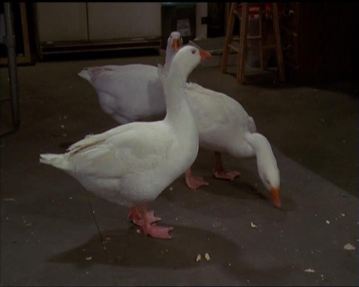 Charmed-Online-dot-515TheDayTheMagicDied0880.jpg