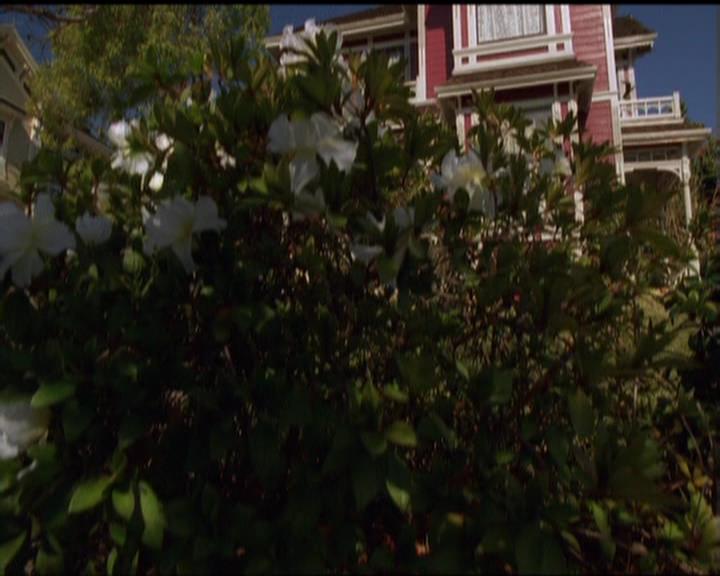 Charmed-Online-dot-516BabysFirstDemon1051.jpg Charmed-Online-dot-516BabysFirstDemon1051.jpg