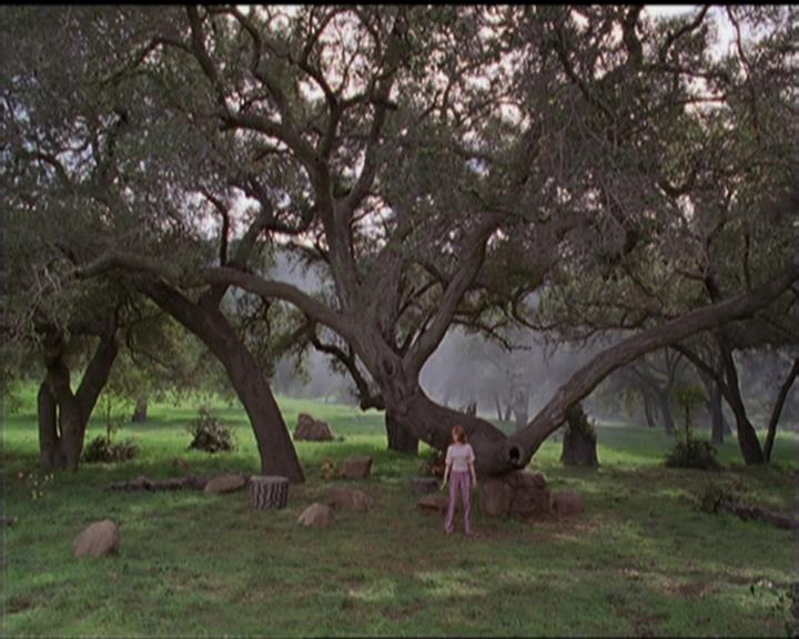 Charmed-Online-dot-517LuckyCharmed0811.jpg Charmed-Online-dot-517LuckyCharmed0811.jpg