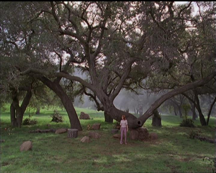 Charmed-Online-dot-517LuckyCharmed0812.jpg Charmed-Online-dot-517LuckyCharmed0812.jpg