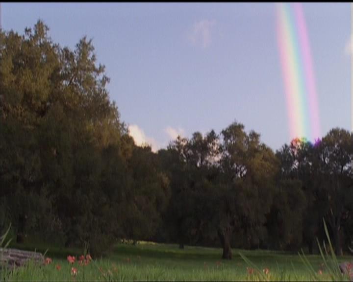 Charmed-Online-dot-517LuckyCharmed0885.jpg