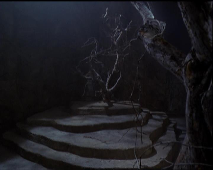 Charmed-Online-dot-517LuckyCharmed1591.jpg Charmed-Online-dot-517LuckyCharmed1591.jpg