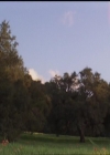 Charmed-Online-dot-517LuckyCharmed0885.jpg
