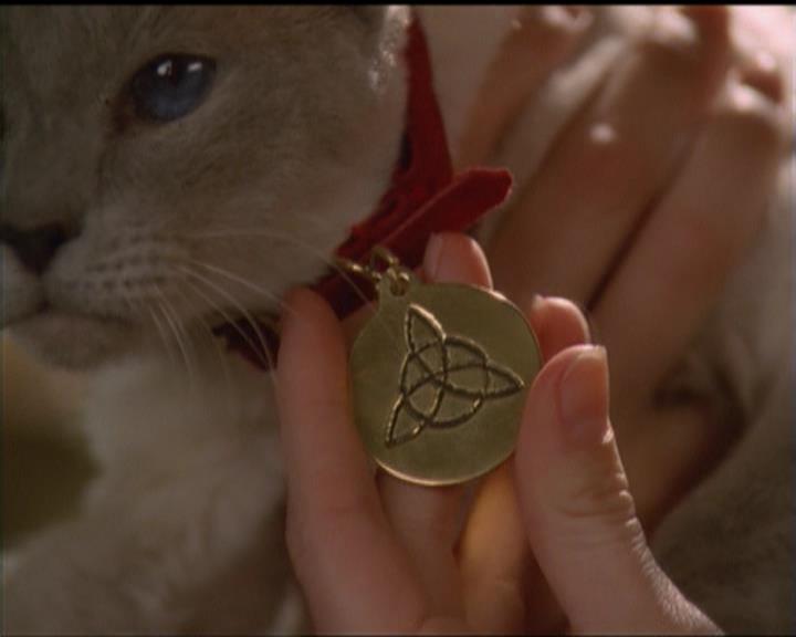 Charmed-Online-dot-518CatHouse1252.jpg Charmed-Online-dot-518CatHouse1252.jpg