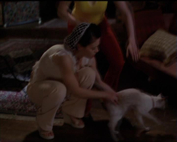Charmed-Online-dot-518CatHouse1544.jpg