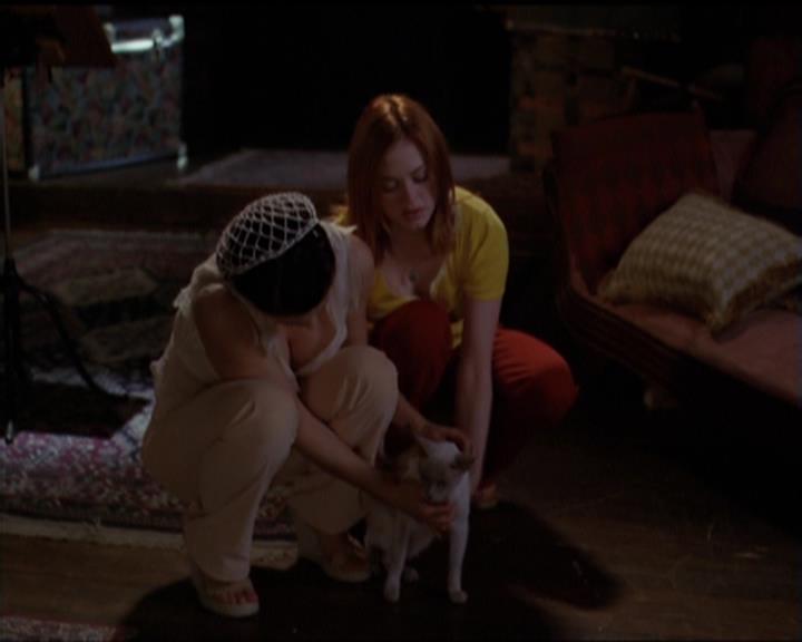 Charmed-Online-dot-518CatHouse1547.jpg