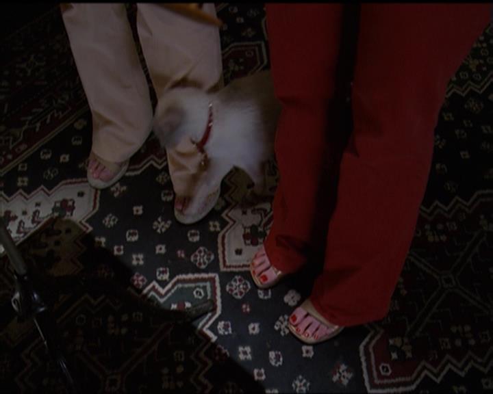 Charmed-Online-dot-518CatHouse1581.jpg