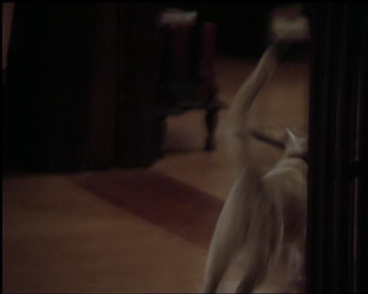 Charmed-Online-dot-518CatHouse1774.jpg Charmed-Online-dot-518CatHouse1774.jpg