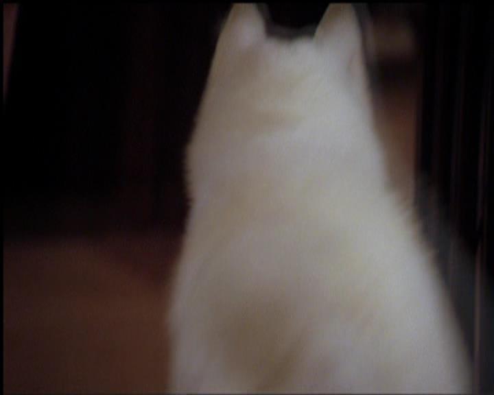 Charmed-Online-dot-518CatHouse1780.jpg