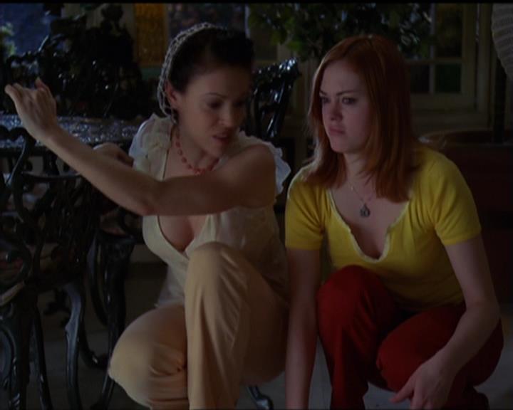 Charmed-Online-dot-518CatHouse1785.jpg