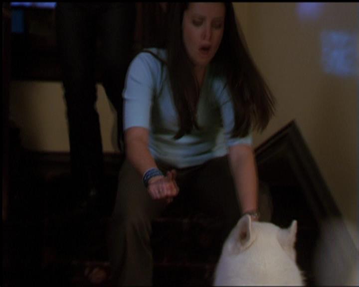 Charmed-Online-dot-518CatHouse1790.jpg