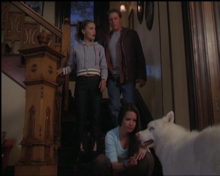 Charmed-Online-dot-518CatHouse1799.jpg