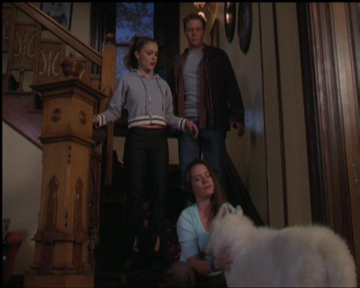 Charmed-Online-dot-518CatHouse1801.jpg