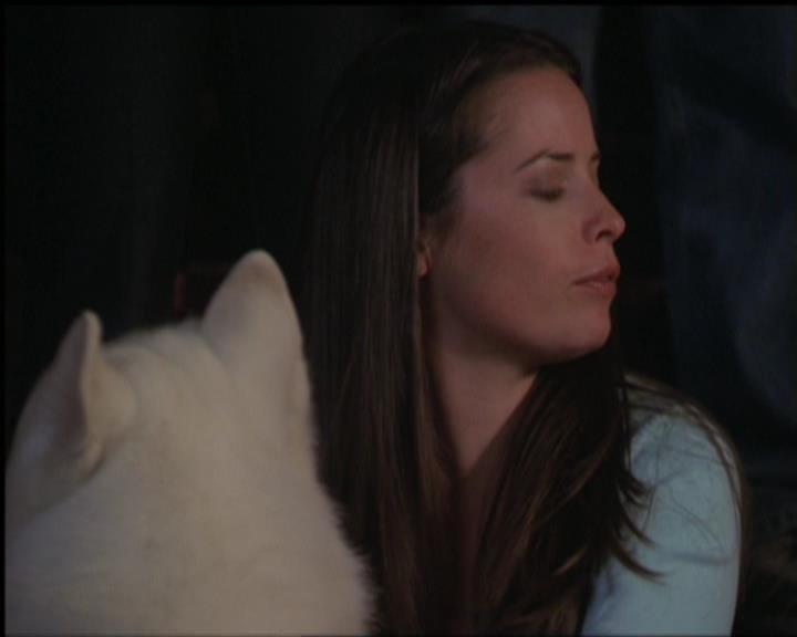Charmed-Online-dot-518CatHouse1805.jpg