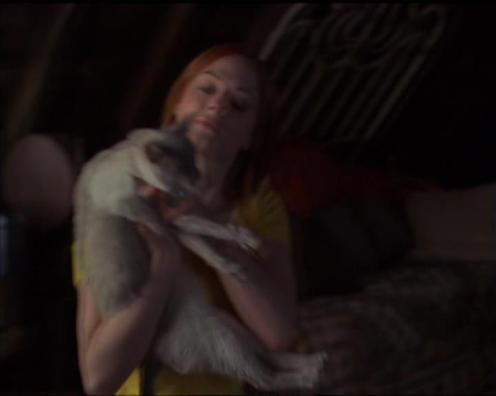 Charmed-Online-dot-518CatHouse2219.jpg