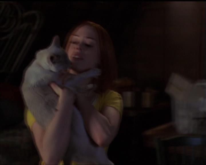 Charmed-Online-dot-518CatHouse2221.jpg