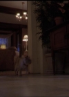 Charmed-Online-dot-518CatHouse1772.jpg