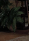 Charmed-Online-dot-518CatHouse1789.jpg