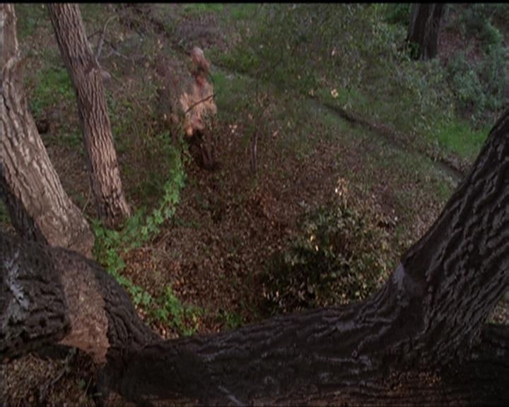 Charmed-Online-dot-519NymphsJustWantToHaveFun1783.jpg