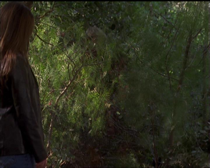 Charmed-Online-dot-519NymphsJustWantToHaveFun2101.jpg
