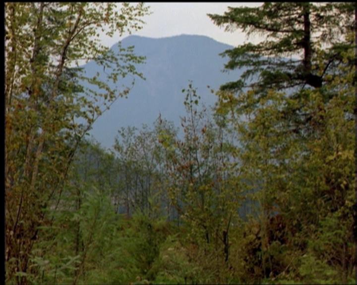 Charmed-Online-dot-519NymphsJustWantToHaveFun2236.jpg Charmed-Online-dot-519NymphsJustWantToHaveFun2236.jpg