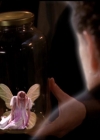 Charmed-Online-dot-net_5x21NecromancingTheStone0582.jpg