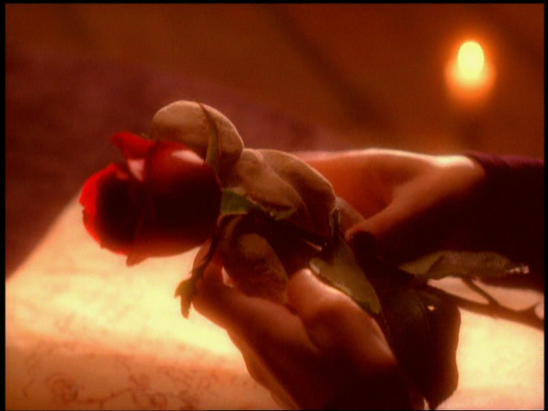 charmed-online_dot_net_OpeningCreditsS5-00004.png