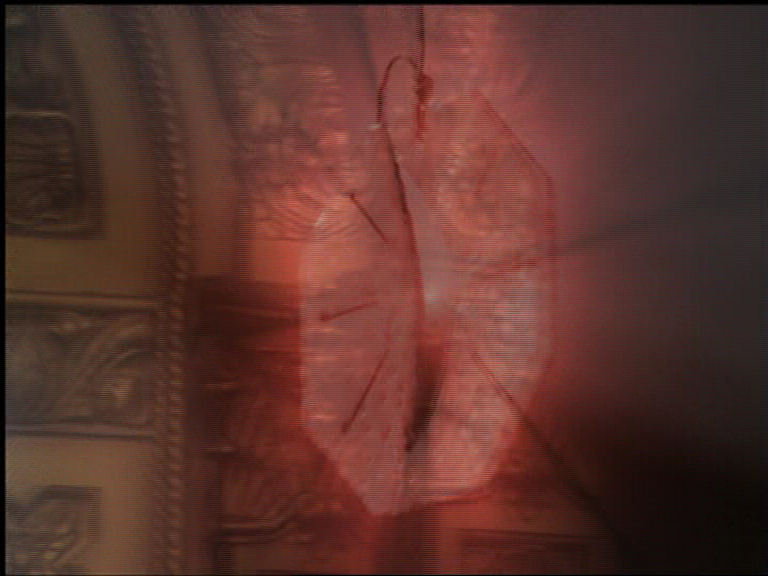 charmed-online_dot_net_OpeningCreditsS5-00008.png