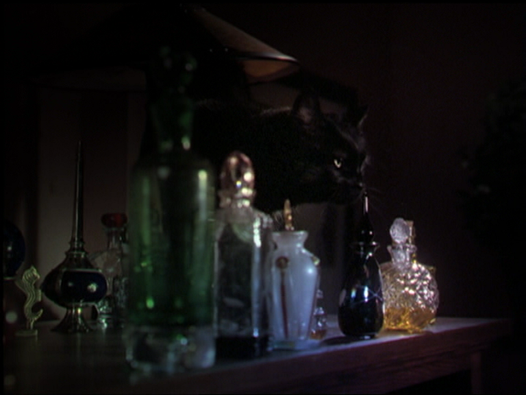 charmed-online_dot_net_OpeningCreditsS5-00034.png