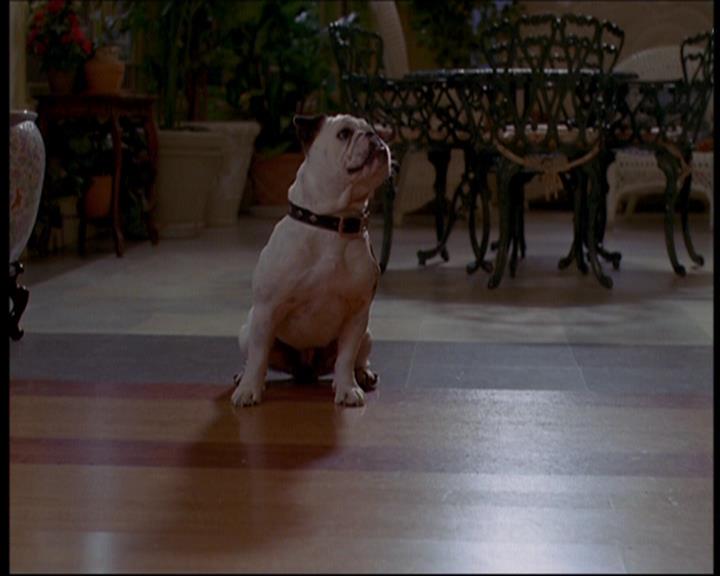 Charmed-Online_dot_net-601ValhalleyoftheDolls1696.jpg