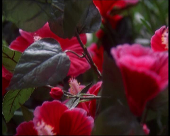 Charmed-Online_dot_net-602Valhalleyofthedolls-part22078.jpg Charmed-Online_dot_net-602Valhalleyofthedolls-part22078.jpg