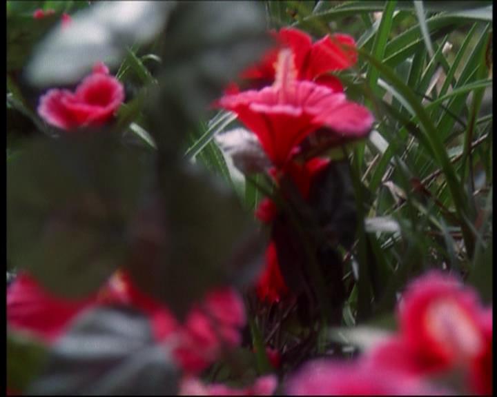 Charmed-Online_dot_net-602Valhalleyofthedolls-part22079.jpg Charmed-Online_dot_net-602Valhalleyofthedolls-part22079.jpg