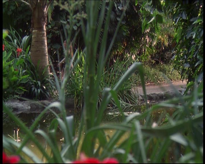 Charmed-Online_dot_net-602Valhalleyofthedolls-part22084.jpg